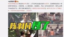 港澳六叔最新爆料视频,最新爆料视频深度解析